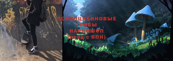 соль ск Киреевск