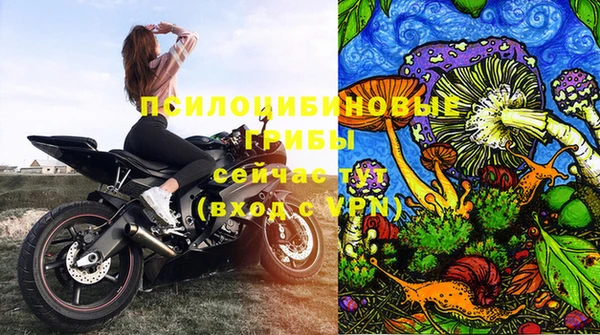 спиды Кинешма
