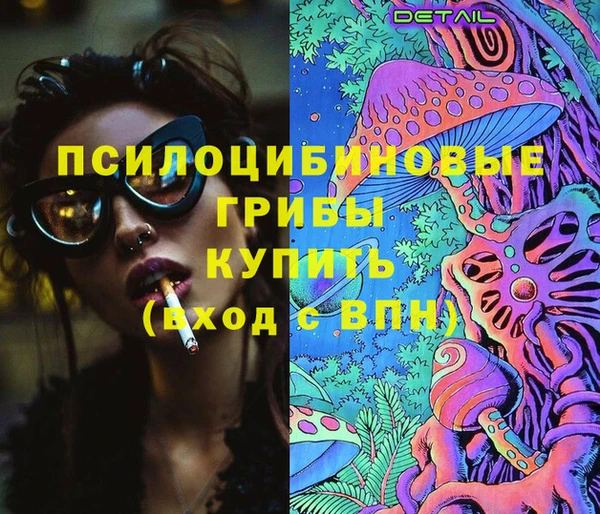 соль ск Киреевск