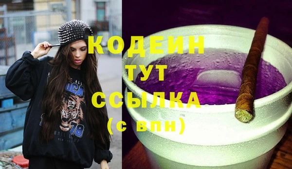 молекула духа Киренск