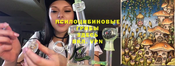 соль ск Киреевск
