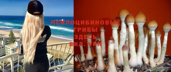 молекула духа Киренск
