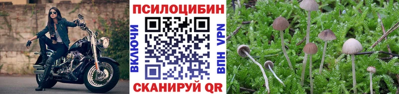 Псилоцибиновые грибы Magic Shrooms Купить Копейск