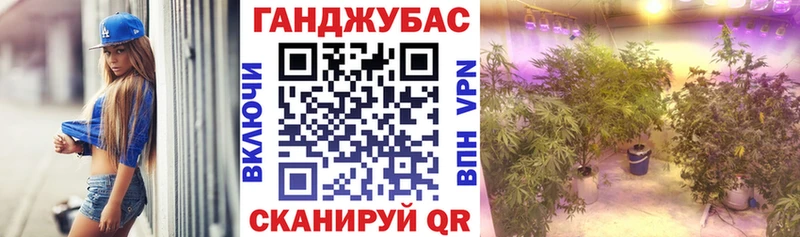 Купить где  Копейск  Конопля сатива 